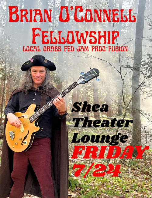 The Brian O'Connell Fellowship in the Shea's Lounge